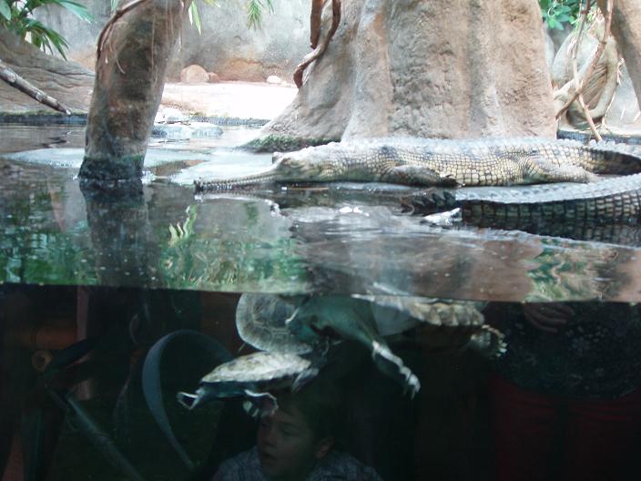 praha zoo autobus